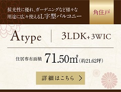 Atype